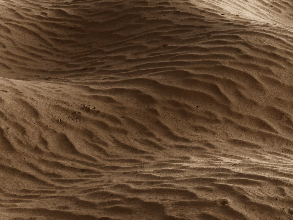 A sand dune close up, its surface combed into fine wind ripples running across a long diagonal ridge.